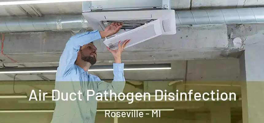  Air Duct Pathogen Disinfection Roseville - MI