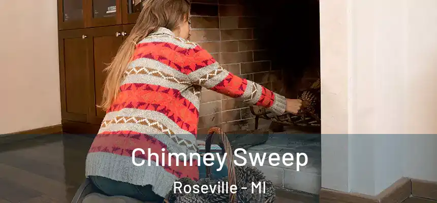  Chimney Sweep Roseville - MI