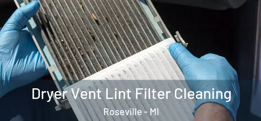 Dryer Vent Lint Filter Cleaning Roseville - MI
