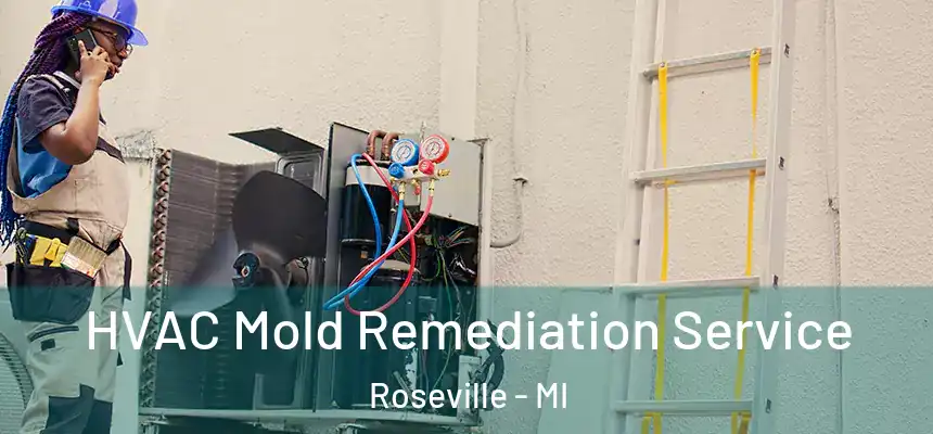  HVAC Mold Remediation Service Roseville - MI
