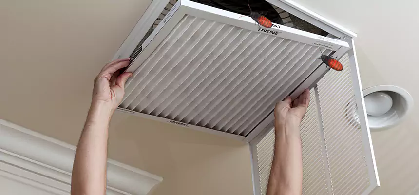 Preventive Cockroach-Proofing for Ducts in Roseville