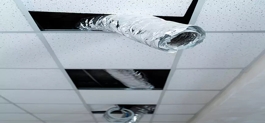 Our Air Duct Pet Hair Removal Services in Roseville, MI