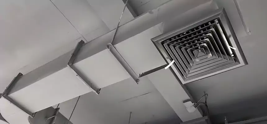 Restorative Allergy Relief Vent Cleaning – Coil, Blower & Housing Detail in Roseville