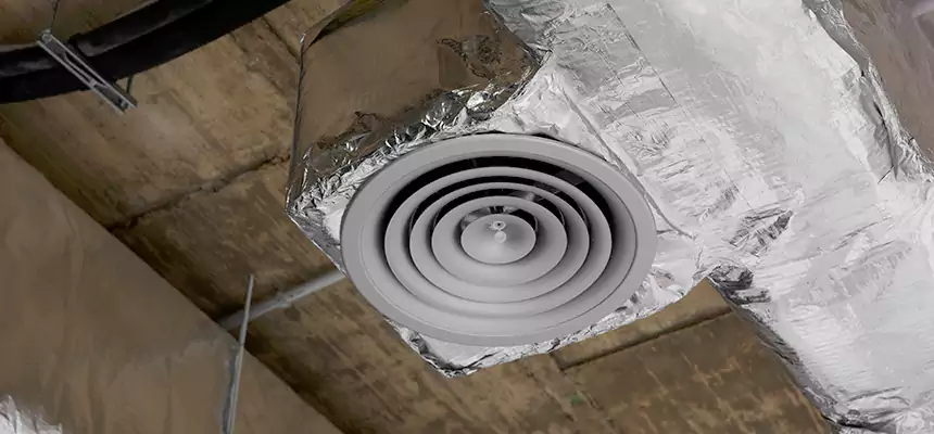 Our Excess Lint Removal from Dryer Ducts Services in Roseville, MI