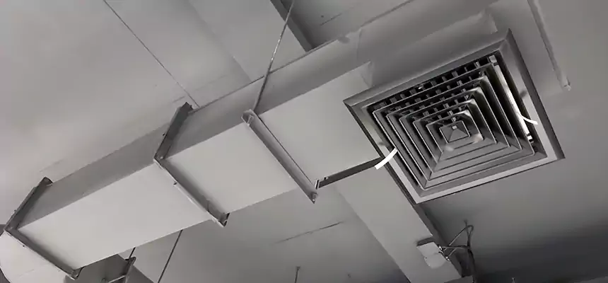 Our Pest Removal From Ducts Services in Roseville, MI