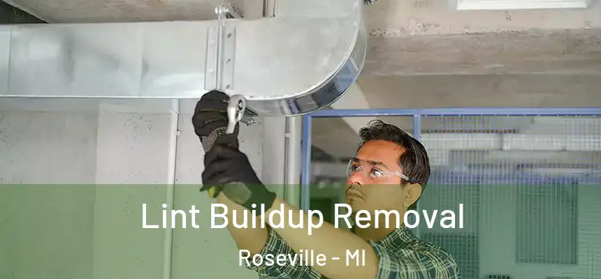 Lint Buildup Removal Roseville - MI