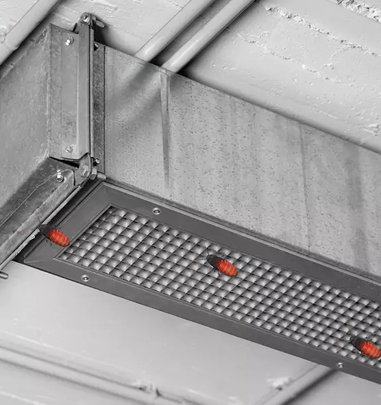 About Air Duct Cockroach Removal in Roseville, MI