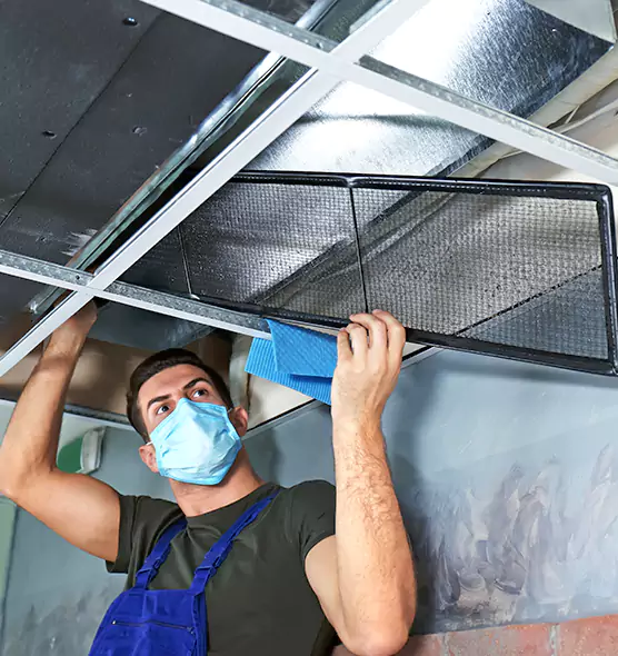 Professional Air Duct Pollen Cleaning in Roseville, MI