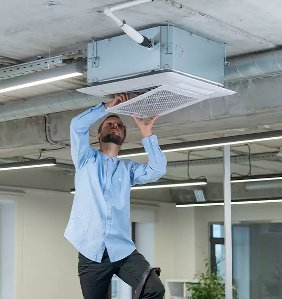 Advanced Rodent Droppings In Vents in Roseville, MI