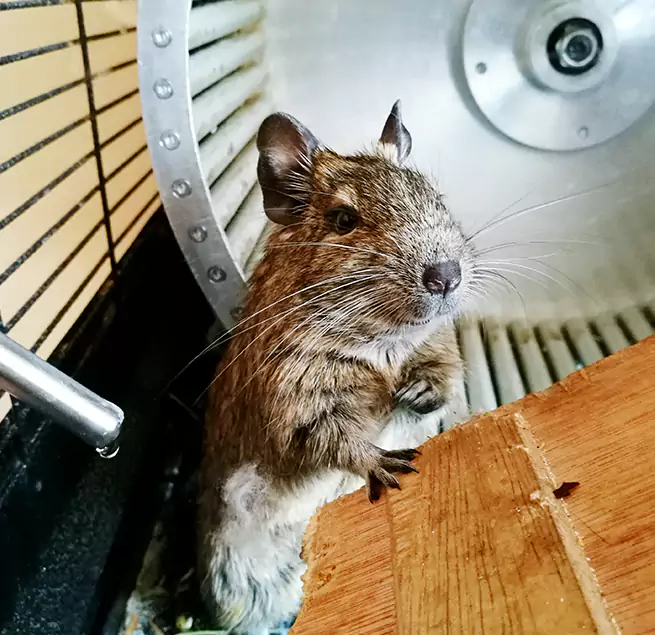 Why Homeowners & Businesses Trust Us Roseville, MI