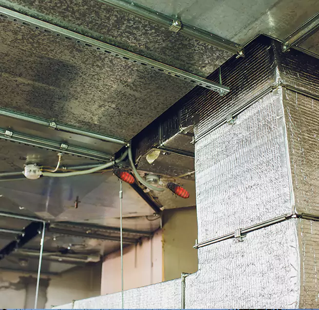 Why Homeowners & Businesses Trust Us Roseville, MI?