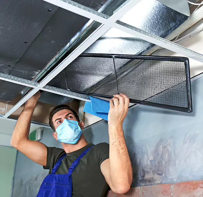  Why Homeowners Businesses Trust Us  in Roseville, MI?